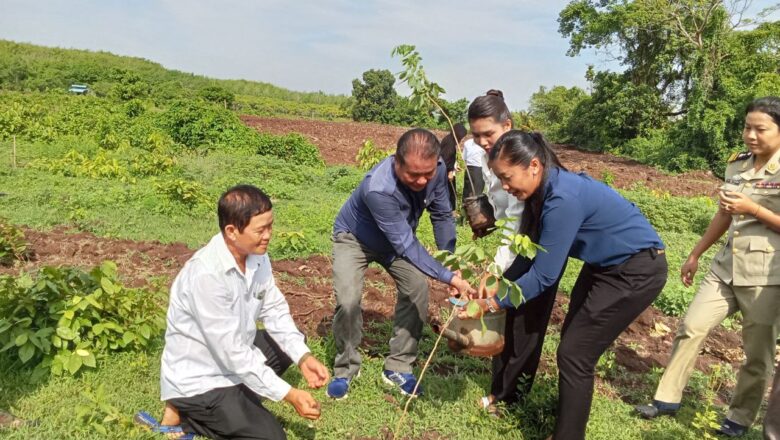 អភិបាលនៃគណៈអភិបាលស្រុកចំការលើ លោក​បណ្ឌិត សំ ពិសិដ្ឋ ដឹកនាំមហាជនដាំដើមឈើ ដើម្បីការពារបរិស្ថាន និងសម្អាតខ្យល់កខ្វក់