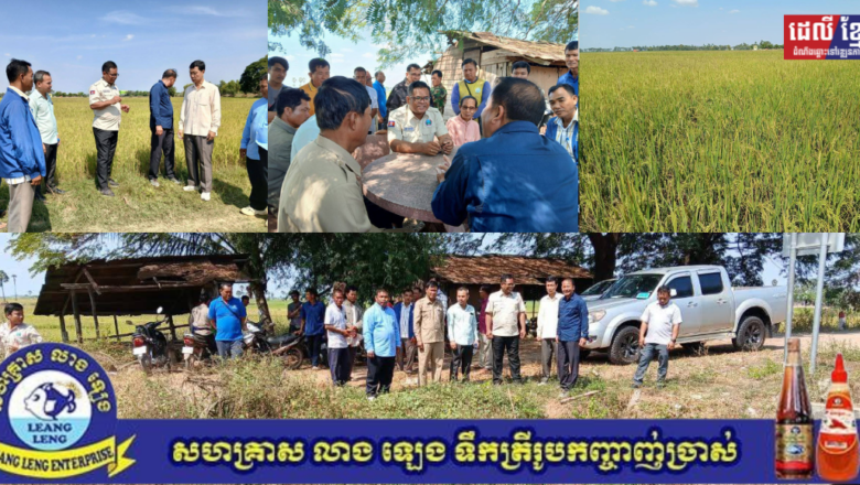 ក្រសួងកសិកម្មលើកទឹកចិត្តប្រជាកសិករឲ្យផ្លាស់ប្តូរទម្លាប់ពីការដាំដុះពូជស្រូវបរទេស ងាកមកជ្រើសរើសដាំដុះស្រូវពូជជាតិមាន ពូជស្រូវសែនក្រអូប ស្រូវស្រង៉ែ