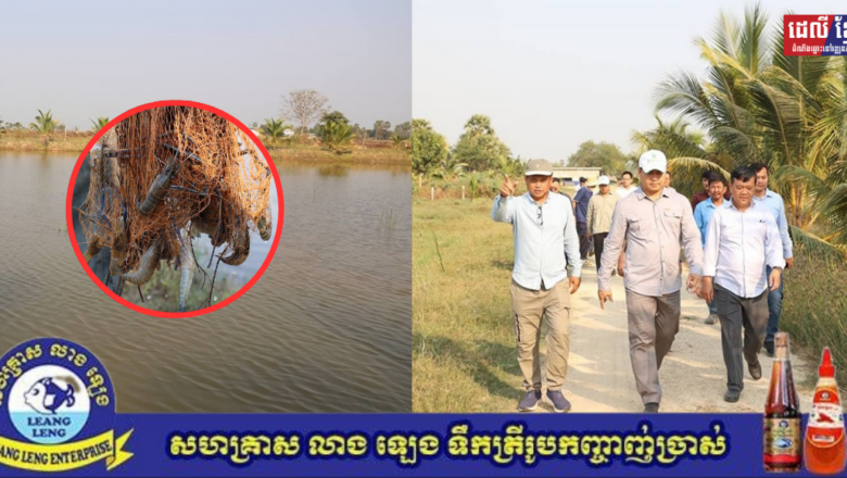 លោកបណ្ឌិត កៅ ថាច ព្រមទាំងសហការី បានបន្តអញ្ជើញចុះសួរសុខទុក្ខ​ និងត្រួតពិនិត្យការប្រេីប្រាស់ឥណទាន​របស់​ លោក​ សាប់​ សារុន ម្ចាស់កសិដ្ឋានចិញ្ចឹមបង្កង​  និងមានស្រះចិញ្ចឹមចំនួន​ ២០ស្រះ​។