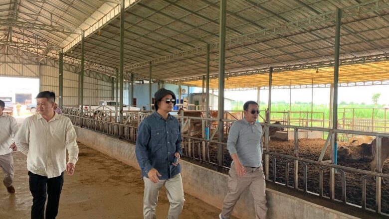 ឯកឧត្តមបណ្ឌិត កៅ ថាច និងសហការី អញ្ជើញចុះធ្វើទស្សនៈកិច្ចសិក្សា នៅកសិដ្ឋានចិញ្ជឹមគោ ចំនួន ០២ កន្លែង ស្ថិតនៅក្នុងស្រុកទឹកផុស ខេត្តកំពង់ឆ្នាំង