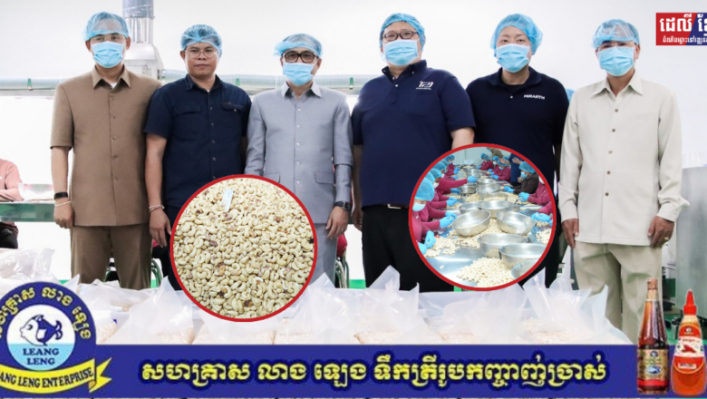 ក្រុមហ៊ុន MIRARTH Agritech កំពុងវិនិយោគធ្វើការកែច្នៃគ្រាប់ស្វាយចន្ទីនាំចេញ