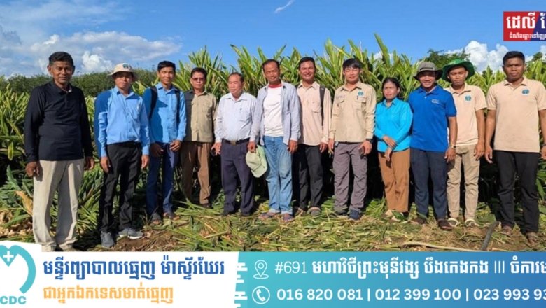 ការដាំដុះដំណាំតាមគោលការណ៍បច្ចេកទេស ជាមួយការអនុវត្តផលិតកម្មកសិកម្មតាមកិច្ចសន្យា នឹងរក្សាបាននិរន្តរភាពទីផ្សារនិងបង្កើនប្រាក់ចំណេញ