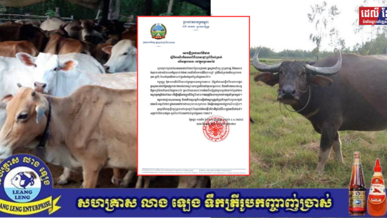 សេចក្ដីប្រកាសព័ត៌មានស្ដីពីករណីកើតមានជំងឺឈាមខ្មៅ ឬជំងឺអង់ត្រាក់លើសត្វពាហនៈនៅក្នុងប្រទេសថៃ