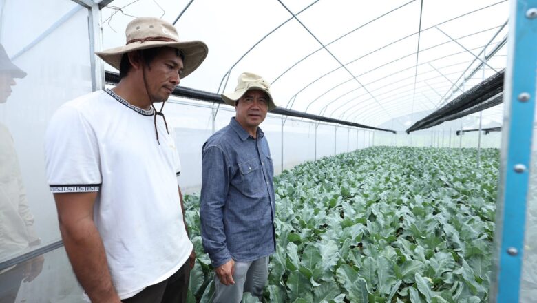 ឯកឧត្តមបណ្ឌិត កៅ ថាច និងសហការី អញ្ជើញចុះសាកសួរសុខទុក្ខកសិករដាំដុះបន្លែផ្ទះសំណាញ់ ១៣គ្រួសារ ស្ថិតក្នុងគម្រោងកាត់បន្ថយភាពក្រីក្រ របស់ធនាគារ ARDB