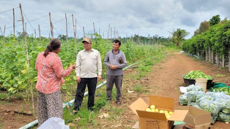 លោក អ៊ុក គឹមសាន អភិបាលរងខេត្តព្រះវិហារ អញ្ជើញចុះជួបស្វែងយល់បន្ថែមអំពីភាពជោគជ័យ និងបញ្ហាប្រឈម របស់បងស្រី អ៊ឹម ណៃស្រៀង កសិករគំរូ
