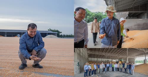 អគ្គនាយកធនាគារARDB ស្នើឲ្យម្ចាស់ឡសម្ងួតពោតក្រហមធំៗ និងឃ្លាំងស្តុកនៅតាមបណ្តោយព្រំដែនកម្ពុជា-ថៃត្រូវយបង្កើនការទិញពោតពីកសិករ អោយអស់ពីលទ្ធភាពនិងស្របតាមតម្លៃទីផ្សារ