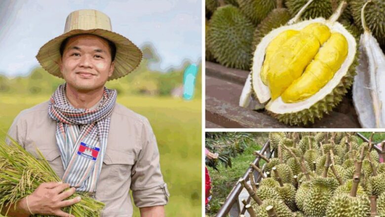 ផ្លែទុរេនស្រស់កម្ពុជាត្រូវបានអនុញ្ញាតឱ្យមានការនាំចេញទៅកាន់ទីផ្សារប្រទេសចិនផ្ទាល់ហើយ