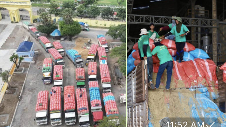 ក្រុមហ៊ុន​ សុីធី រ៉ាយស៍​ អុីមផត​ អិចផត​ ខូ​ អិលធីឌីនិងរោងម៉ាស៊ីនកិនស្រូវ ឡាយសែ​ជូនដំណឹងដល់ប្រជាកសិករ និងសាធារណជនថាក្រុមហ៊ុនមិនដែលព្រងើយកន្តើយចំពោះការប្រមូលស្រូវពីកសិករឡើយ