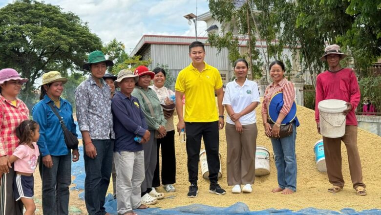 ក្រុមហ៊ុន ស៊ីធីរាយស៍ City Rice Import Export Co., Ltd.បានសហការណ៍ជាមួយ មន្ទីកសិកម្មខេត្តបាត់ដំបង ចុះសំរួលការកកស្ទះស្រូវរបស់បងប្អូនប្រជាពលរដ្ឋ នៅភូមិព្រះពន្លា ឃុំរោងជ្រៃ ស្រុកថ្មគោល