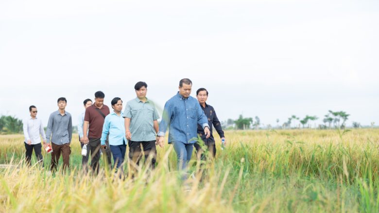 ឯកឧត្តមបណ្ឌិត កៅ ថាច និងសហការី អញ្ជើញចូលរួមច្រូតស្រូវ ស្រែគំរូ ស្ថិតនៅស្រុកស្វាយអន្ទរ ខេត្តព្រៃវែង