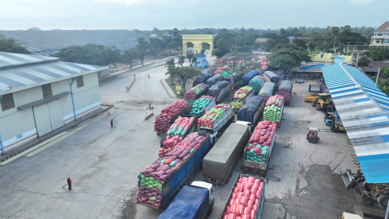 ក្រុមហ៊ុន សុីធី រ៉ាយស៍​(city rice) បានអនុវត្តសកម្មភាពប្រមូលស្រូវរំដួលយ៉ាងសកម្ម និងទទួលបានបរិមាណស្រូវប្រហែល ២,៥០០ តោន​ ដោយ​លេីស​ផែនការ​