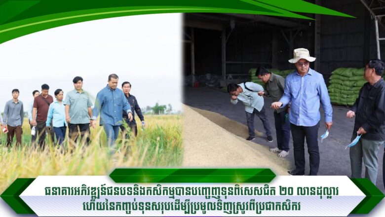 ARDB Has Releases Nearly $20 Million to Buy Rice from Farmers