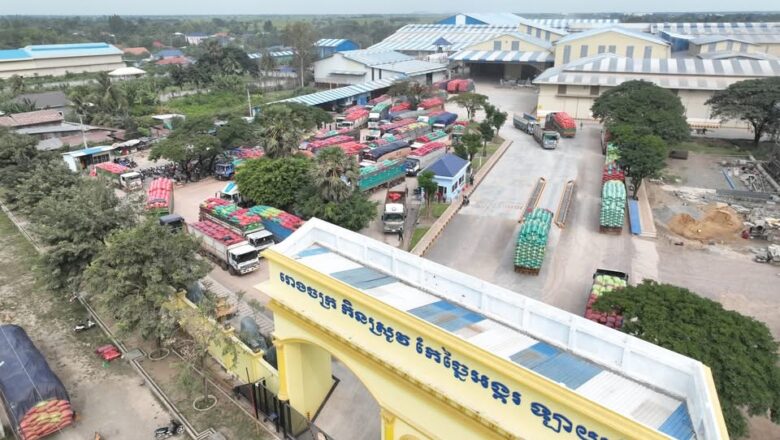 ការប្រមូលស្រូវផ្ការំដួលចូលរបស់ក្រុមហ៊ុន City Rice Import Export Co., Ltd. (រោងចក្រកិនស្រូវ និង កែច្នៃអង្ករ ឡាយ សែ)នៅថ្ងៃទី ២៤.១១.២០២៥