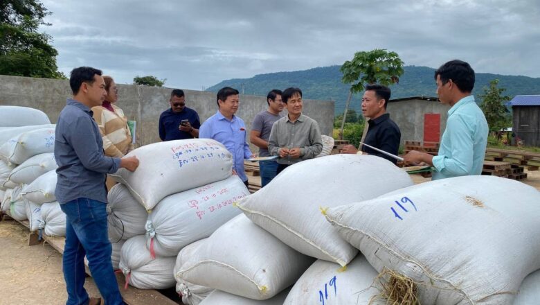 ឧកញ៉ា សុង សារ៉ន អគ្គនាយកក្រុមហ៊ុន Amru Rice Cambodia ចុះ ពិនិត្យមើលការទិញស្រូវផ្ទាល់ពីសហគមន៍កសិកម្មពេជ្យបុរី នៅឃុំភ្នំពេញ ស្រុកគូលែនខេត្តព្រះវិហារ