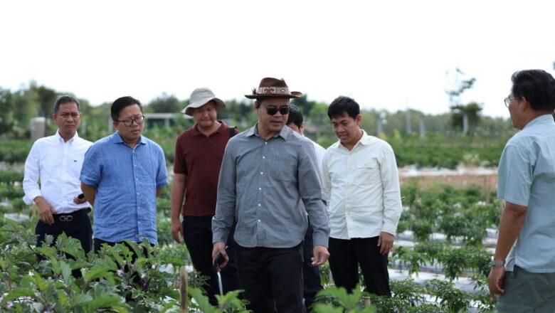 ឯកឧត្តមបណ្ឌិត កៅ ថាច ចុះពិនិត្យកសិដ្ឋានចំនួន ៤ ទីតាំងនៅខេត្តតាកែវ និងជំរុញឲ្យពង្រីកផលិតកម្ម ព្រមទាំងផ្តល់ទុនប្រាក់កម្ចីពី ARDB