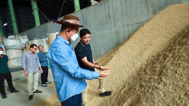 ឯកឧត្តមបណ្ឌិត កៅ ថាច ចុះពិនិត្យវឌ្ឍនភាពនៃការប្រមូលទិញស្រូវ និងស្តុកស្រូវ-អង្ករ នៅខេត្តសៀមរាប និងកំពង់ធំ