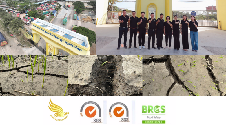 ក្រុមហ៊ុនរោងម៉ាស៊ីនកិនស្រូវ ឡាសែ ស្នើឲ្យកសិករទាំងអស់ប្រយ័ត្ននិងត្រៀមខ្លួនឲ្យបានល្អ ព្រោះរដូវប្រាំងជិតចូលមកដល់ហើយ