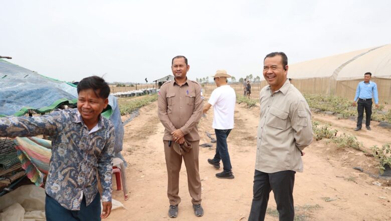 ARDB បន្តបេសកកម្មជំរុញវិស័យកសិកម្ម៖ ឯកឧត្ដមបណ្ឌិត កៅ ថាច ចុះពិនិត្យកសិដ្ឋានចិញ្ចឹមសត្វ និងបន្លែសុវត្ថិភាពក្នុងផ្ទះសំណាញ់ នៅខេត្តកំពង់ធំ