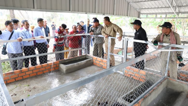 លោកបណ្ឌិត កៅ ថាច ជំរុញឱ្យកសិករនៅពោធិ៍សាត់ ចិញ្ចឹមជ្រូកកណ្តុរ ដើម្បីបង្កើនចំណូលគ្រួសារ និងធានាទីផ្សារដោយក្រុមហ៊ុន Little Duckling
