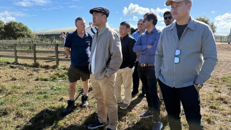 Dr. Kao Thach led colleagues to study the targeted credit mechanism for model dairy cattle farms of Rabobank in New Zealand