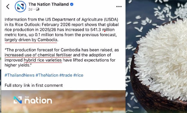 កម្ពុជាបដិសេធការបង្ខូចកេរ្តិ៍ឈ្មោះអង្ករកម្ពុជាជាអង្ករកូនកាត់ គឺជារឿងមិនពិត ដើម្បីកេងចំនេញផ្នែកពាណិជ្ជកម្ម