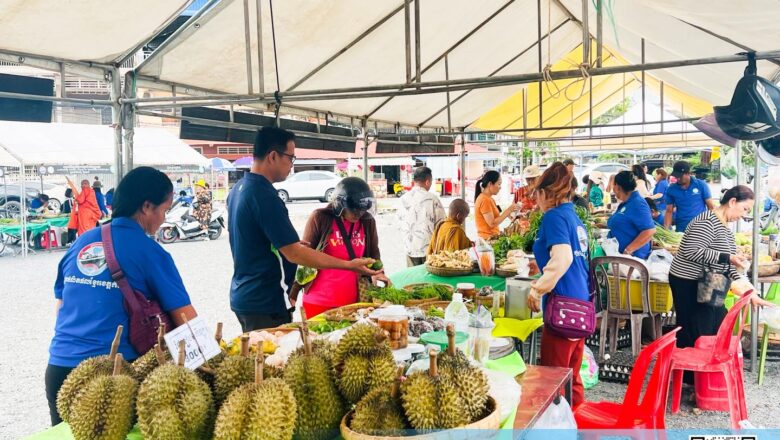 ផ្សារផលិតផលខ្មែរខេត្តកំពត បាននិងកំពុងដំណើរការលក់កសិផល ផលិតផលខ្មែរក្នុងស្រុក បន្លែសុវត្ថិភាព ផ្លែឈើ សាច់មាន់  អាហារកែច្នៃនានា និងផលិតផលប្រើប្រាស់ទូទៅ ដែលមានទីតាំងនៅបេនឡានខេត្តកំពត ភូមិ១ ឧសភា សង្កាត់កំពង់កណ្តាល ក្រុងកំពត
