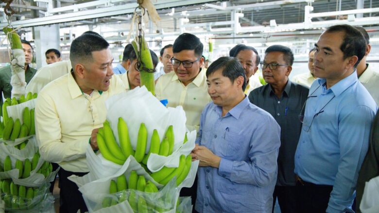 ឯកឧត្តមរដ្ឋមន្រ្តី ហេង សួរ អញ្ជើញចុះពិនិត្យមើលខ្សែច្រវាក់ផលិតកម្មក្រុមហ៊ុន THACO AGRI ក្នុងខេត្តក្រចេះ ដែលផ្តល់ឱកាសការងារប្រមាណ ២ម៉ឺននាក់ និងផ្ទេរជំនាញបច្ចេកទេសកសិកម្មទំនើប