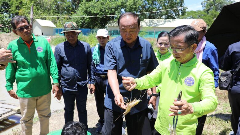 ឯកឧត្តមសន្តិបណ្ឌិត ឡូយ សុផាត អញ្ជើញចុះទស្សនកិច្ចសិក្សា និងស្វែងយល់ពីការអភិវឌ្ឍវិស័យកសិកម្មបែបទំនើបរបស់ ក្រុមហ៊ុន ឃី ចិន្តា ឌីវេឡប់ម៉ិន ឯ.ក មានទីតាំងស្ថិតនៅភូមិដំបងវេញ ឃុំសង្កែសាទប ស្រុកឱរ៉ាល់ ខេត្តកំពង់ស្ពឺ