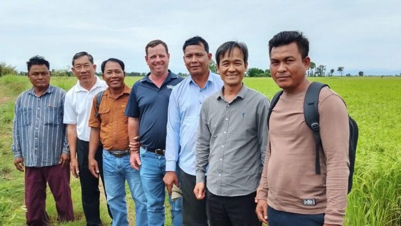ឧកញ៉ា សុង សារ៉ន អគ្គនាយកក្រុមហ៊ុន Amru Rice ដឹកនាំពាណិជកម្មពីប្រទេស អូស្រ្តាលីចុះពិនិត្យស្រែស្រូវក្រោមកម្មវិធីកសិកម្មតាមកិច្ចសន្យា ជាមួយសហគមន៍កសិកម្មទំនើបម៉ោងឫស្សី