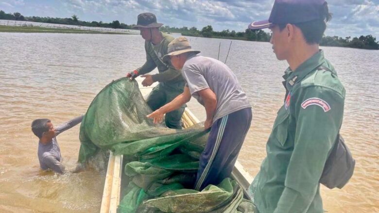 ខណ្ឌរដ្ឋបាលជលផលក្រចេះ សហការជាមួយកម្លាំងចម្រុះពាក់ព័ន្ធ ឆ្មាំទន្លេតំបន់កាំពី ចុះត្រួតពិនិត្យ និងបង្ក្រាបបទល្មើសនេសាទ តាមដង​ទន្លេ​មេគង្គ ក្នុងខេត្តក្រចេះ