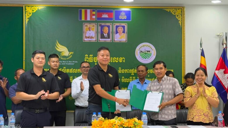 ក្រុមហ៊ុន ស៊ីធី រ៉ាយស៍ អុីមផត អិចផត ខូ អិលធីឌី ចូលរួមក្នុងកម្មវិធីចុះកិច្ចសន្យាកសិកម្ម ស្តីពី ការផលិត និងផ្គត់ផ្គង់ស្រូវសែនក្រអូប រវាងក្រុមផលិតស្រូវស្រុកថ្មគោល និងក្រុមផលិតស្រូវស្រុកបវេល